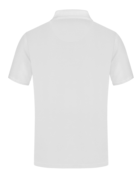 Мужская футболка поло Floyd to_7046/01 фото