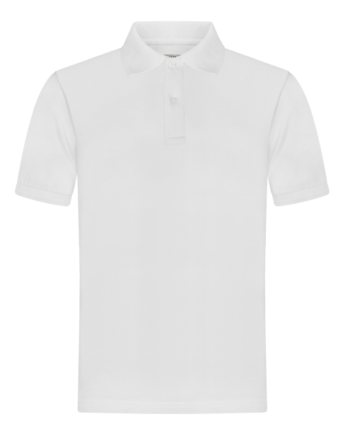 Мужская футболка поло Floyd to_7046/01 фото