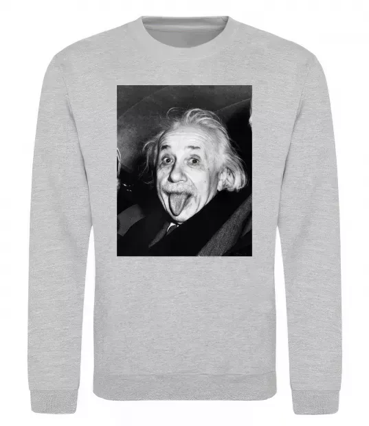 Свитшот Ейнштейн Серый меланж фото