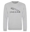 Світшот JAGUAR Сірий меланж фото