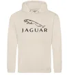 Мужская толстовка (худи) JAGUAR Таш фото