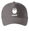 Кепка COOL PENGUIN Серый фото