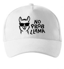 Кепка No probllama