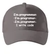 Кепка I write code Серый фото