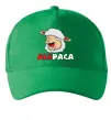 Кепка ALKPACA web Зелений фото