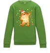 Детский Свитшот Тигр в гірлянді Лаймовый фото