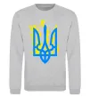 Свитшот Герб з вогнем Серый меланж фото