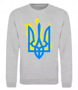 Свитшот Герб - фарби Серый меланж фото