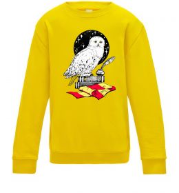 Дитячий світшот Букля Гаррі Поттер