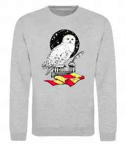 Свитшот Букля Гаррі Поттер Серый меланж фото