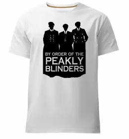 Мужская премиум футболка