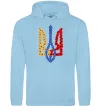 Жіноча толстовка (худі) Герб у квітах Блакитний фото