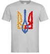 Чоловіча футболка Герб у квітах Сірий фото