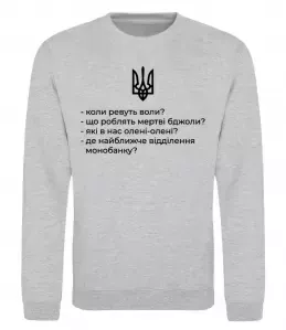 Світшот Світшот