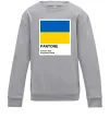 Дитячий світшот Pantone Український прапор Сірий меланж фото