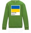 Дитячий світшот Pantone Український прапор Лаймовий фото
