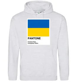 Мужская толстовка (худи) Pantone Український прапор Серый меланж фото