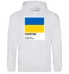 Мужская толстовка (худи) Pantone Український прапор Серый меланж фото