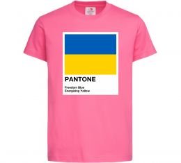 Детская футболка Pantone Український прапор