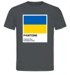 Мужская футболка Pantone Український прапор Графит фото