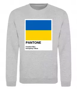 Свитшот Pantone Український прапор Серый меланж фото