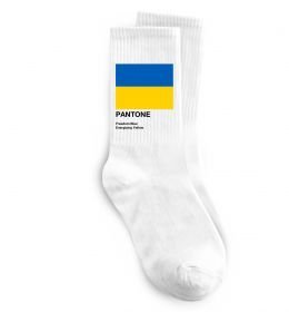 Шкарпетки Pantone Український прапор