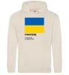 Чоловіча толстовка (худі) Pantone Український прапор Таш Чоловіча толстовка (худі) Pantone Український прапор Таш фото