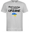 Мужская футболка Good evening we are frome ukraine мапа України Серый фото