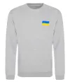 Свитшот Прапор ВИШИВКА Серый меланж фото