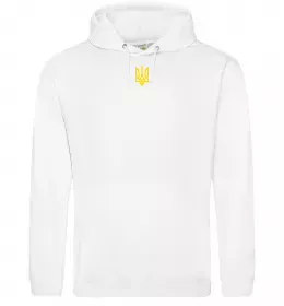 Мужская толстовка (худи)