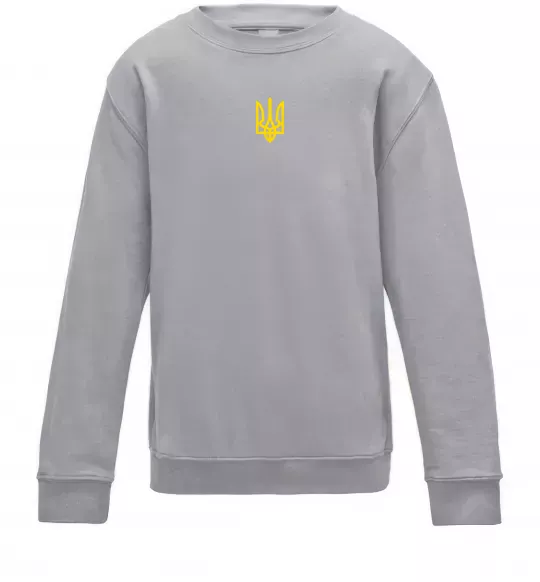 Детский Свитшот Герб маленький ВИШИВКА Серый меланж фото