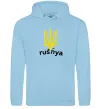 Мужская толстовка (худи) Rusnya Голубой фото