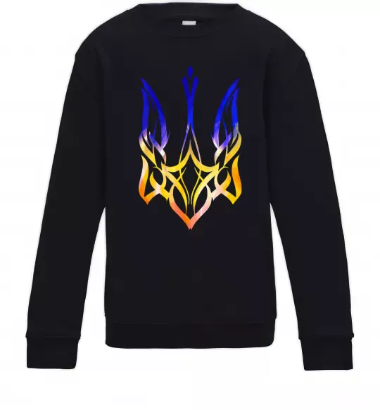 Дитячий світшот Герб палає Чорний фото