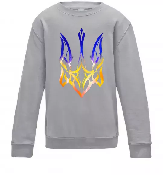 Дитячий світшот Герб палає Сірий меланж фото