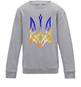 Детский Свитшот Герб палає Детский Свитшот Герб палає