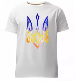 Чоловіча преміум футболка