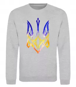 Світшот Герб палає Сірий меланж фото