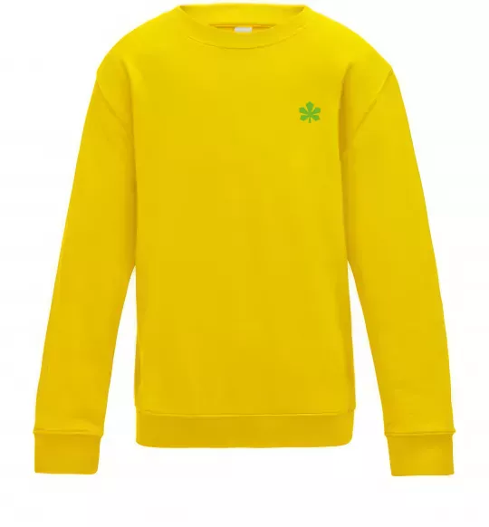 Дитячий світшот Каштан Київ Сонячно жовтий фото