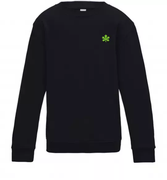 Дитячий світшот Каштан Київ Чорний фото