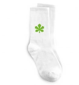 Носки Каштан Київ