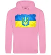 Мужская толстовка (худи) Прапор України з подряпинами Розовый фото
