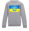 Детский Свитшот Прапор України з подряпинами Серый меланж фото