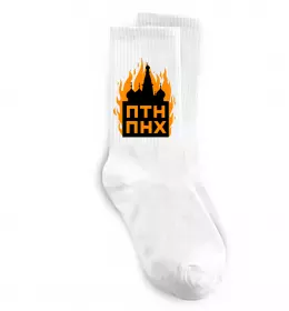 Шкарпетки ПТН ПНХ кремль горить Білий фото