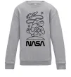 Дитячий світшот Nasa білий Сірий меланж фото