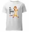 Чоловіча преміум футболка Тімон Be mine Pumbaa Білий фото