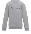 Дитячий світшот Friends logo Сірий меланж фото