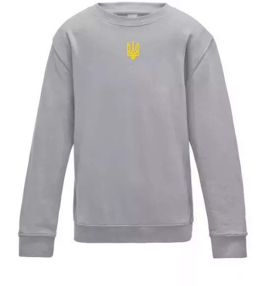 Детский Свитшот Герб маленький друк Серый меланж фото