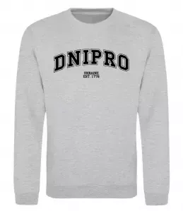 Свитшот Dnipro est Серый меланж фото