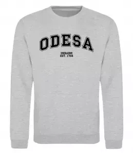 Свитшот Рідна Одеса Серый меланж фото