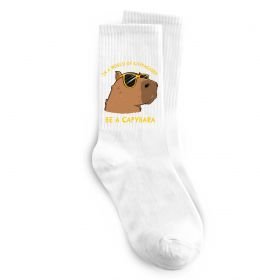 Шкарпетки Be a capybara